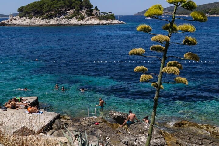 Discover the Pakleni Islands: A Speedboat Adventure from Split photo 3