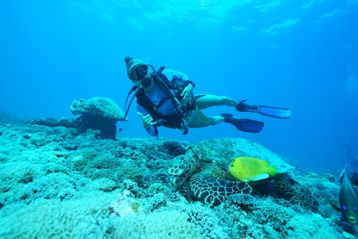 Discover Scuba: Nusa Penida Two-Dive Day Trip from Sanur