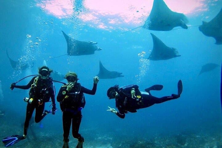 Nusa Penida Manta Dives: A Certified Divers' Day Trip from South Bali photo 1