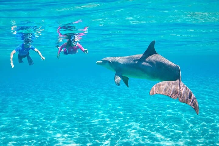 Hurghada Dolphin House: Sataya Reef Snorkeling & Swim with Spinner Dolphins photo 4