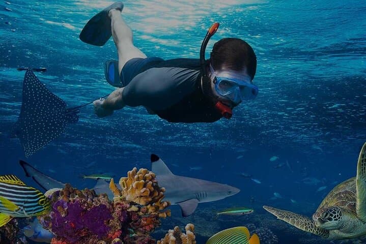 Mahmya Island Snorkeling Trip from Hurghada — Giftun Reefs & Sandy Bays photo 2