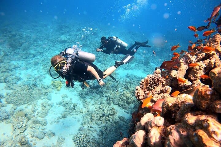 Private 2-Hour Shore Scuba Experience in Aqaba's Red Sea Wrecks