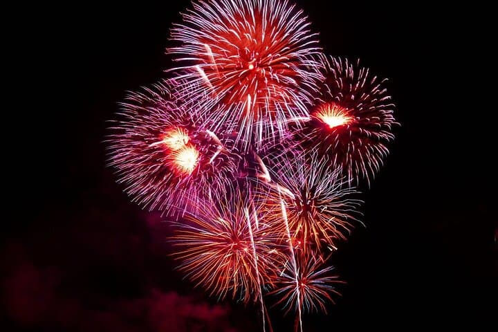 Hilton Head Firework Cruise: Sunset Dolphin Watch & Shelter Cove Fireworks photo 6