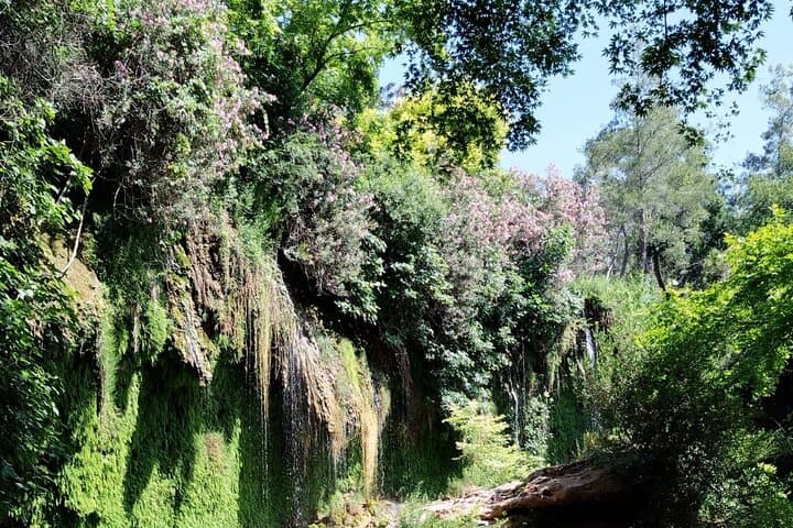 Antalya Waterfalls Private Tour — Upper Düden, Kurşunlu & Lower Düden (Half Day) photo 4