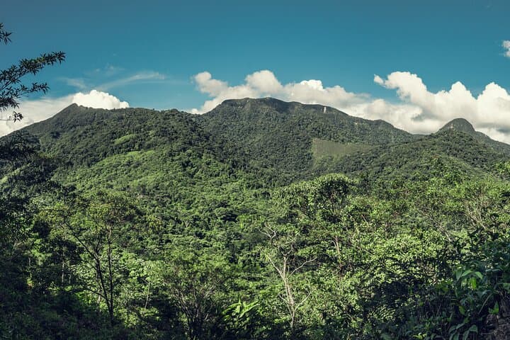 Iquitos Jungle Tour: 3-Day Amazon Adventure from Iquitos photo 3