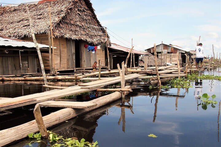 Iquitos Jungle Tour: 3-Day Amazon Adventure from Iquitos photo 5