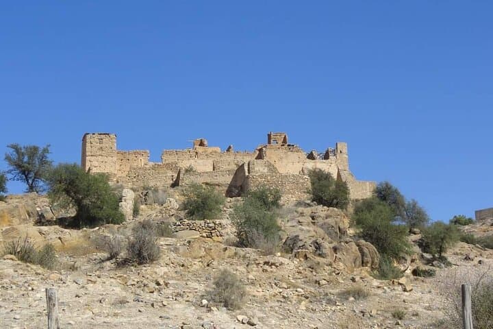 Tiout Oasis & Taroudant Medina Day Tour from Agadir photo 3