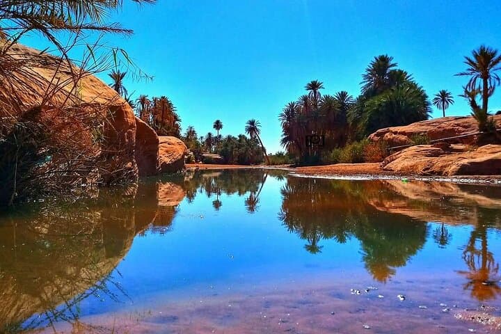 Tiout Oasis & Taroudant Medina Day Tour from Agadir photo 5