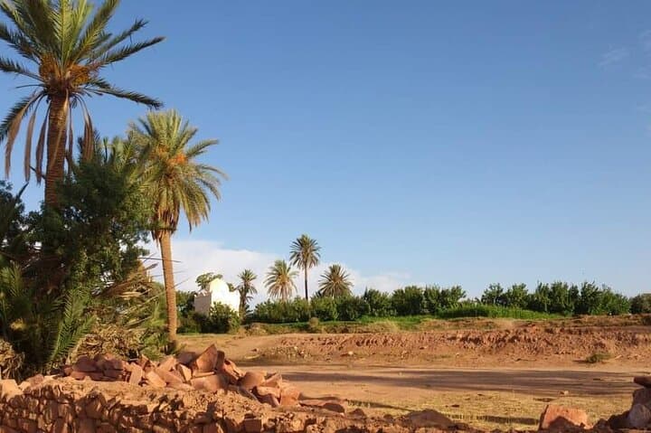 Tiout Oasis & Taroudant Medina Day Tour from Agadir photo 6