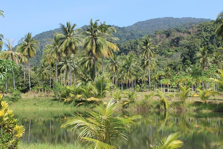 4-Day Iquitos Amazon Adventure: Jungle Lodge, Wildlife & River Tours photo 2
