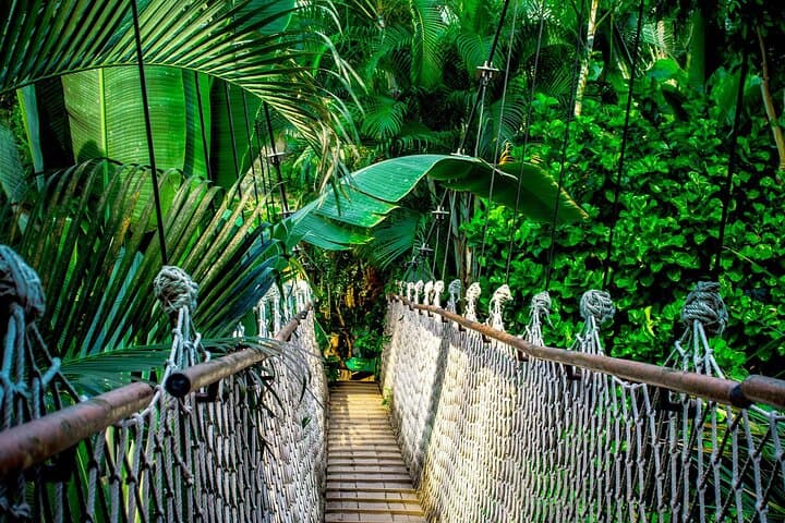 4-Day Iquitos Amazon Adventure: Jungle Lodge, Wildlife & River Tours photo 4