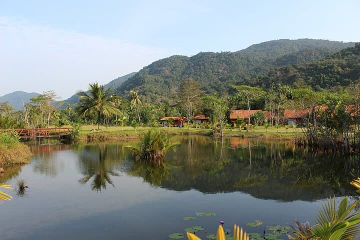 4-Day Iquitos Amazon Adventure: Jungle Lodge, Wildlife & River Tours