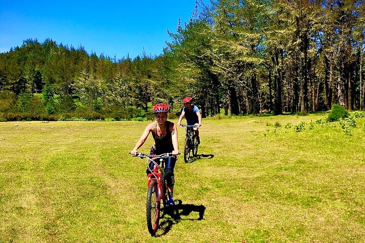 Madeira Beginner Mountain Biking: Poiso to Camacha Easy MTB Tour photo 5