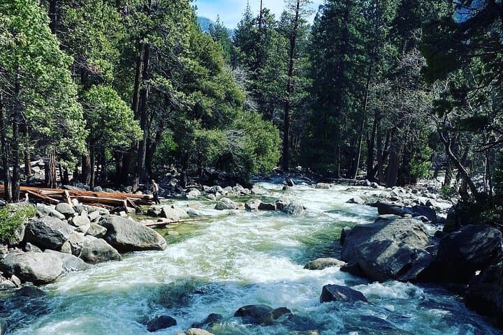 Yosemite Valley Day Tour: Tunnel View, Yosemite Falls & Firefall Experience photo 3