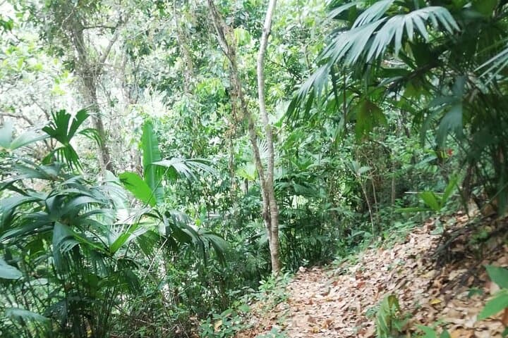 Hike to El Saltillo Waterfall and Passion Fruit Plantations from Santa Marta photo 3