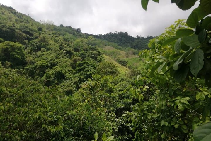 Hike to El Saltillo Waterfall and Passion Fruit Plantations from Santa Marta photo 4