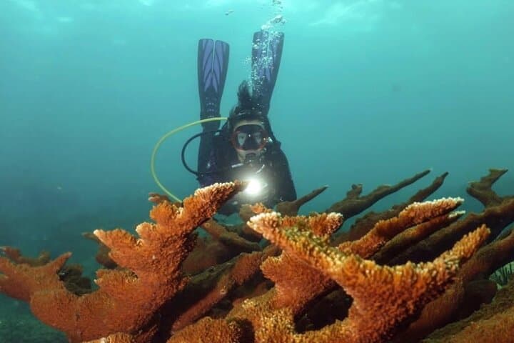 Escambron Marine Park Scuba Tour: One‑Tank Dive for Certified Divers in San Juan photo 2
