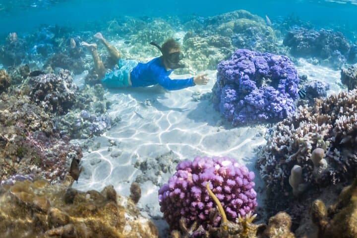 Half-Day Tahaa Coral Garden Snorkel from Raiatea — Lagoon Highlights for Cruise Stopovers photo 1