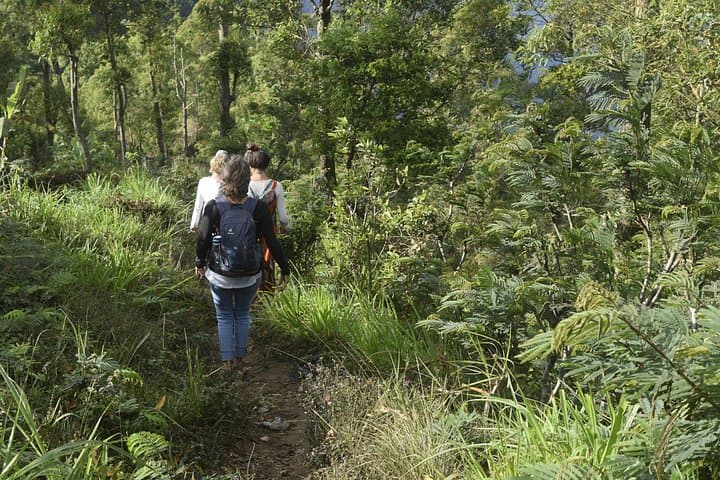 Mindful Nature Walk on Mount Abang: Sunrise Yoga, Sacred Springs & Rewilding photo 2