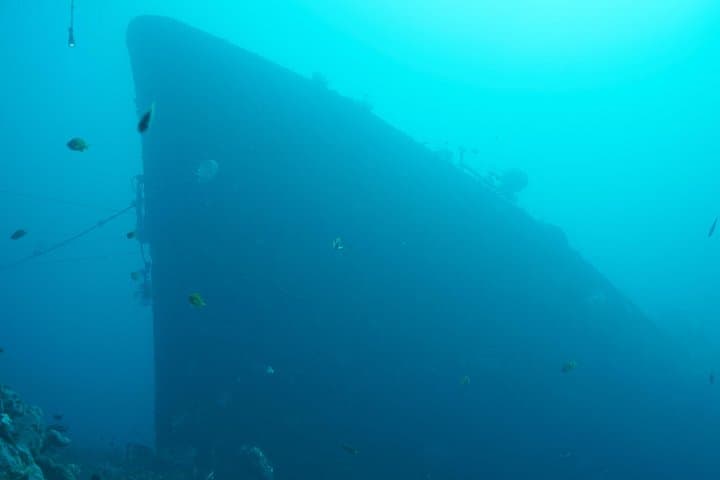 Scuba Diving the USAT Liberty Wreck in Tulamben — 1 or 2 Dives from South Bali photo 3