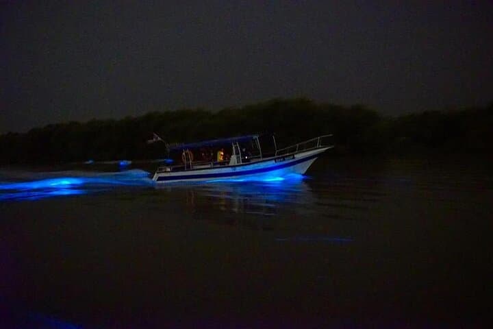 Kuala Selangor Fireflies & Blue Tears Night Boat Tour photo 4