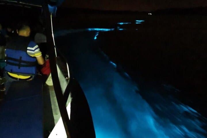 Kuala Selangor Fireflies & Blue Tears Night Boat Tour photo 5