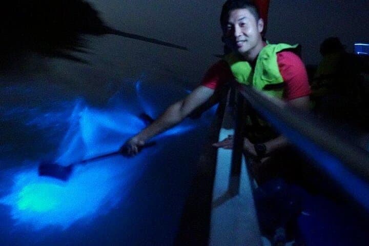 Kuala Selangor Fireflies & Blue Tears Night Boat Tour