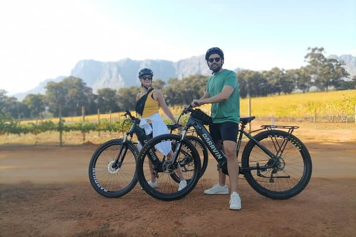 Stellenbosch Private E‑Bike & Wine Tour — Half‑Day Banhoek Valley Ride
