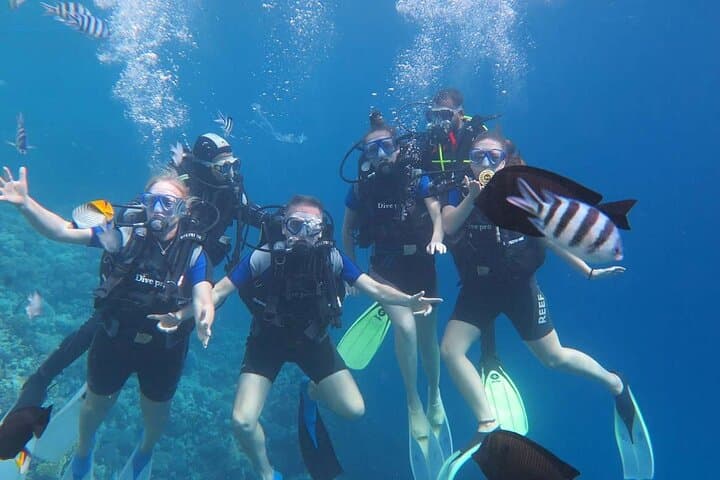Hurghada Full-Day Diving Tour — Two Reef Dives with Lunch and Hotel Transfer photo 2