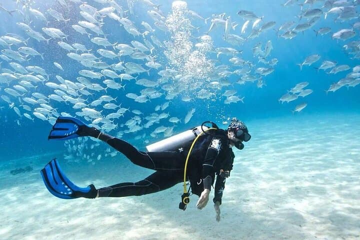 Hurghada Full-Day Diving Tour — Two Reef Dives with Lunch and Hotel Transfer photo 5