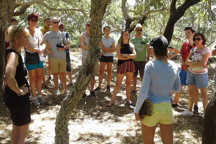 Explore Monchique & Silves: Cork Forests, Foía Views and Historic Silves in One Day photo 2