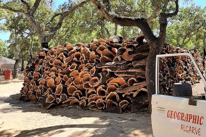 Explore Monchique & Silves: Cork Forests, Foía Views and Historic Silves in One Day photo 4