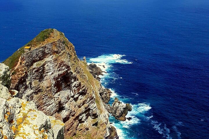 Full-Day Cape Peninsula Tour — Cape Point, Chapman's Peak & Boulders Penguin Colony photo 6