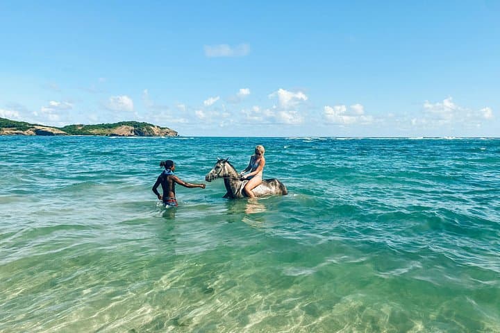 Private Beach Horseback Ride & Picnic in St. Lucia — Swim with Horses photo 6
