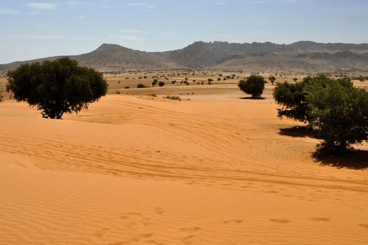Agadir Jeep Safari: Atlantic Coast, Desert Dunes & Berber Lunch photo 2