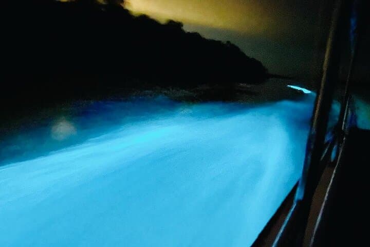 Kuala Selangor Fireflies & Blue Tears Night Boat Tour photo 6