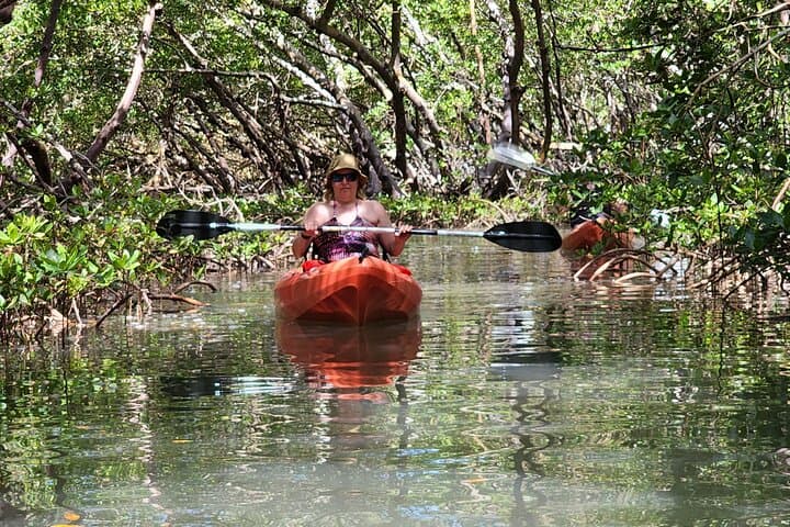 Guided Dolphin Kayak & SUP Eco Tour in Estero Bay (Big Hickory Island) photo 3