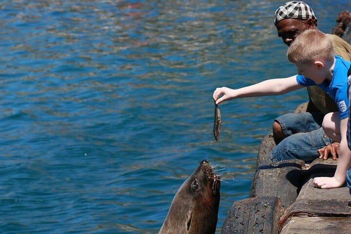 Cape Town Private Tour: Table Mountain, Penguins & Cape Point Day Trip