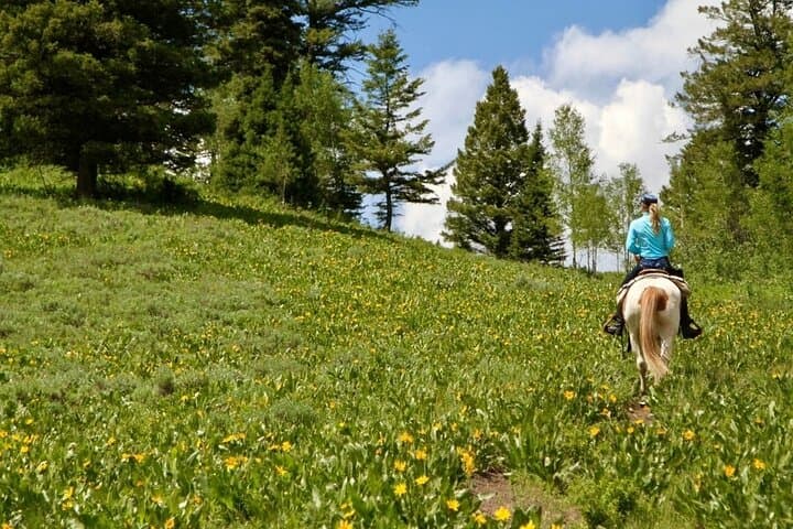 Moose Meadow Breakfast Ride — Horseback Trail Ride in Jackson Hole photo 4
