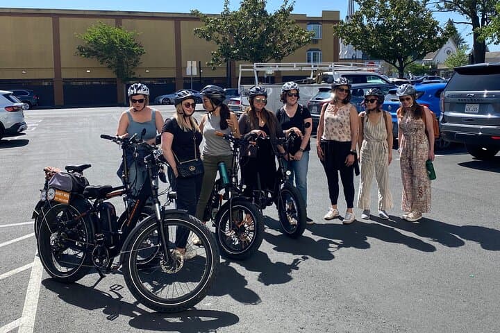 Self-Guided Napa Valley E-Bike Rental with Picnic Lunch photo 2