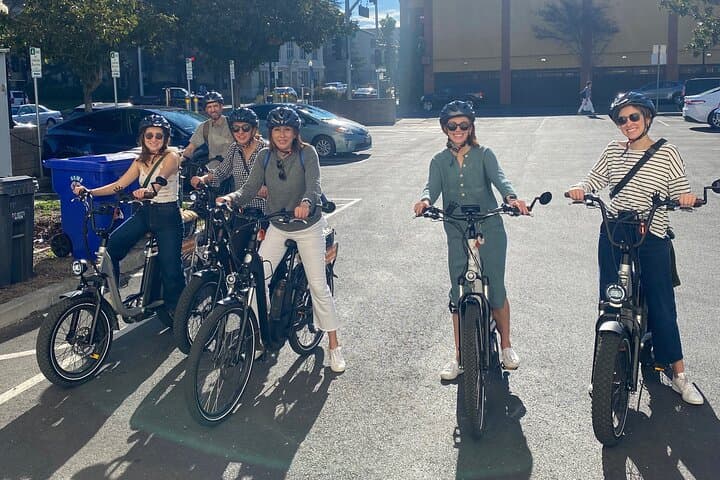 Self-Guided Napa Valley E-Bike Rental with Picnic Lunch photo 3