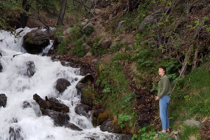 Ride & Roam Mystery Sightseeing Tour — Anchorage Hidden Glacier Views & Waterfalls photo 4