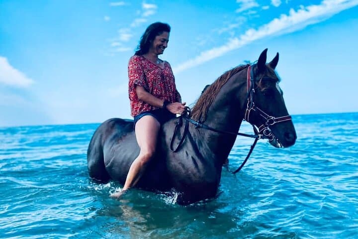 Essaouira Horseback Ride: 3-Hour Mountain-and-Beach Gallop on Arab-Barb Horses