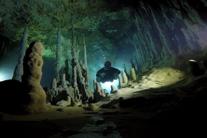 Private Full-Day Cenote Diving in Playa del Carmen — 2 Dives & Lunch