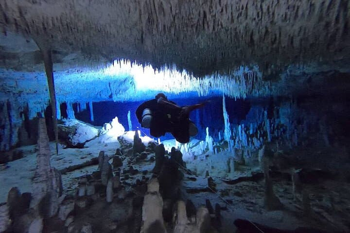 Private Full-Day Cenote Diving in Playa del Carmen — 2 Dives & Lunch photo 3