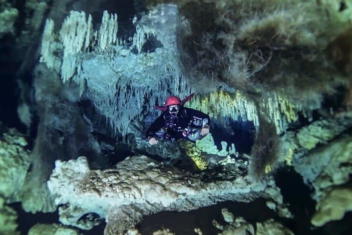 Private Full-Day Cenote Diving in Playa del Carmen — 2 Dives & Lunch photo 4