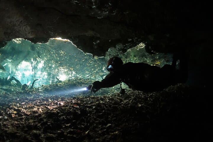 Private Full-Day Cenote Diving in Playa del Carmen — 2 Dives & Lunch photo 5