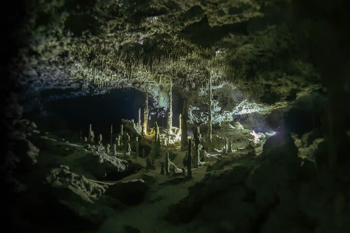 Private Full-Day Cenote Diving in Playa del Carmen — 2 Dives & Lunch photo 6