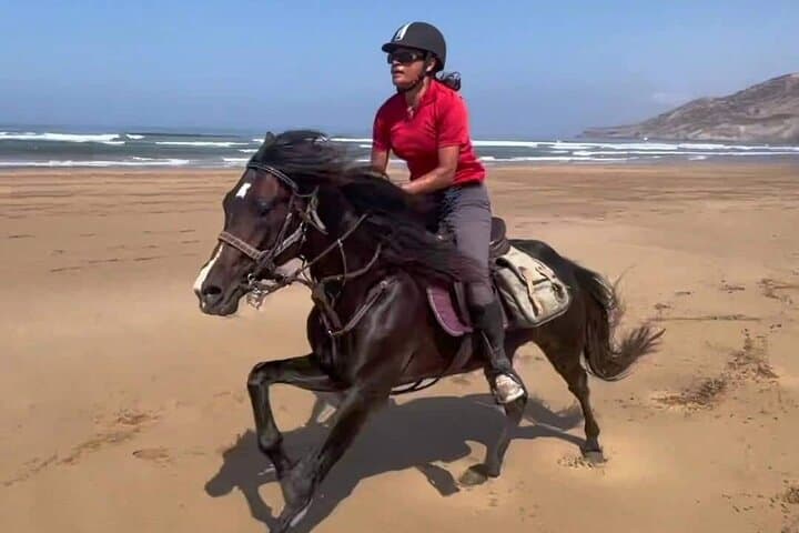 Essaouira Horseback Ride: 3-Hour Mountain-and-Beach Gallop on Arab-Barb Horses photo 2