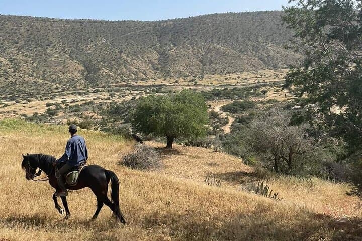 Essaouira Horseback Ride: 3-Hour Mountain-and-Beach Gallop on Arab-Barb Horses photo 3